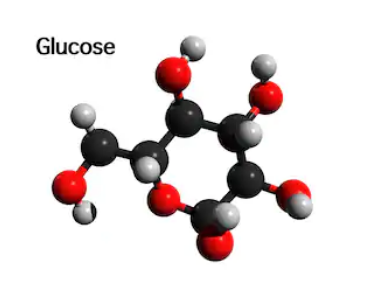 Le glucose - Edulcorant issu de produits naturels